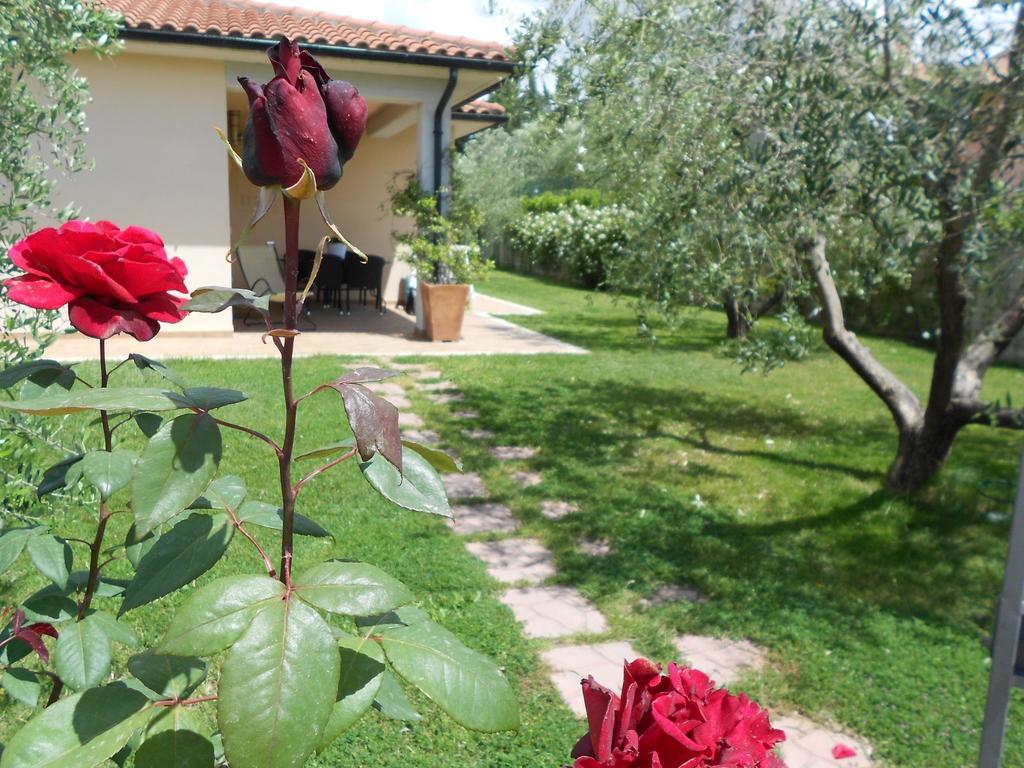 Gasthaus Poggio Degli Olivi Saturnia Exterior foto